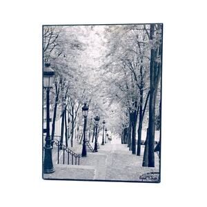 Small Photo Art Reproduction - Paris Focus - Stairs of Montmartre